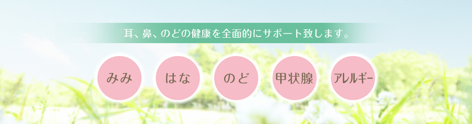 のど・はな・みみ・甲状腺・アレルギーのことな富田つじ耳鼻咽喉科